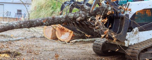 Skid steer loader transports large tree trunk, clearing yard debris in suburban setting during deforestation