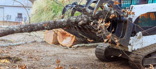 Skid steer loader transports large tree trunk, clearing yard debris in suburban setting during deforestation